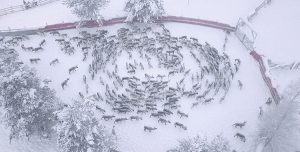 Drone Vision: krig, övervakning, protest