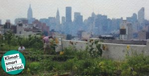 Grönt är extra skönt