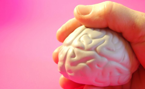 Julia Freeman-Woolpart