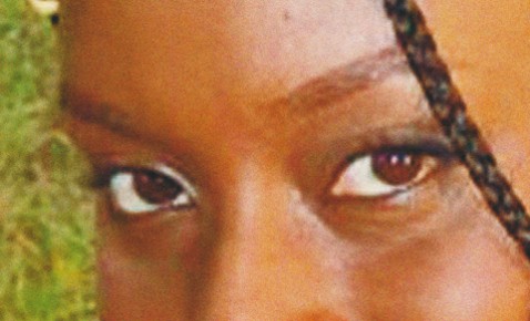 Detalj ur omslaget till "En halv gul sol". Albert Bonniers förlag.