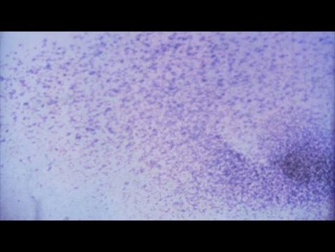 Två fina tjejer till