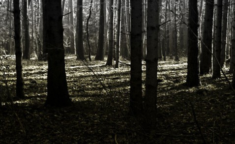 Foto: Michael Wer